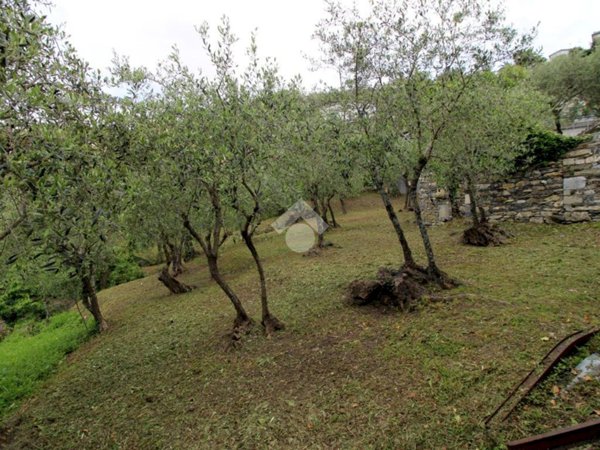 casale in vendita a Leivi in zona Solaro