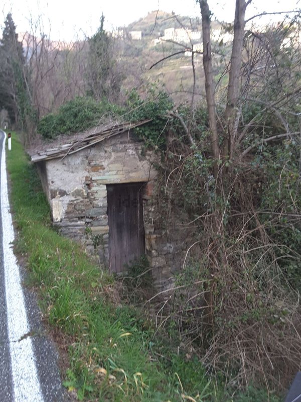 appartamento in vendita a Lorsica