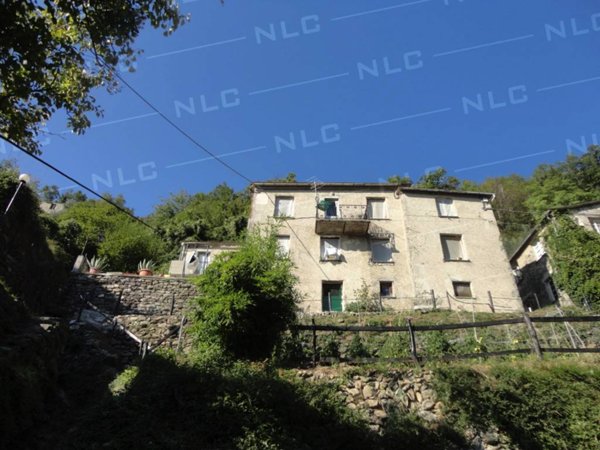 casa indipendente in vendita a Lorsica