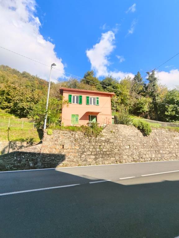 casa indipendente in vendita a Lumarzo in zona Boasi