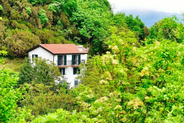 casa indipendente in vendita a Lumarzo in zona Tasso