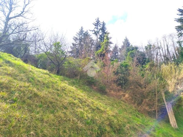 pentavano in vendita a Mele in zona Acquasanta