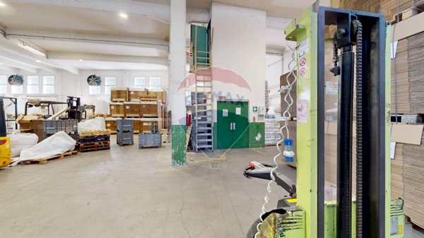 immagine annuncio 0 di 15