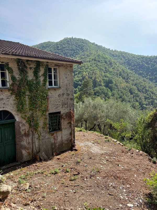 casa semindipendente in vendita a Mezzanego in zona Pontegiacomo