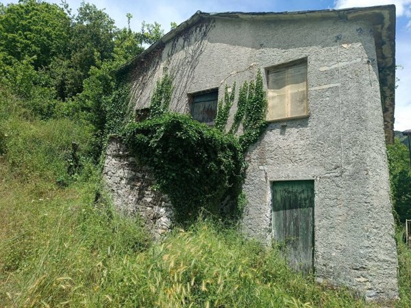 pentavano in vendita a Moconesi in zona Ferrada