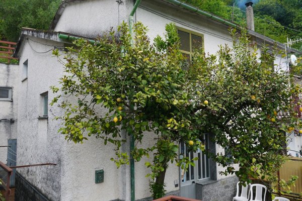 appartamento in vendita a Moconesi