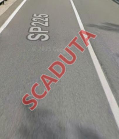 pentavano in vendita a Moconesi