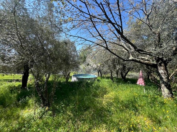 casa semindipendente in vendita a Moconesi in zona Moconesi Alto
