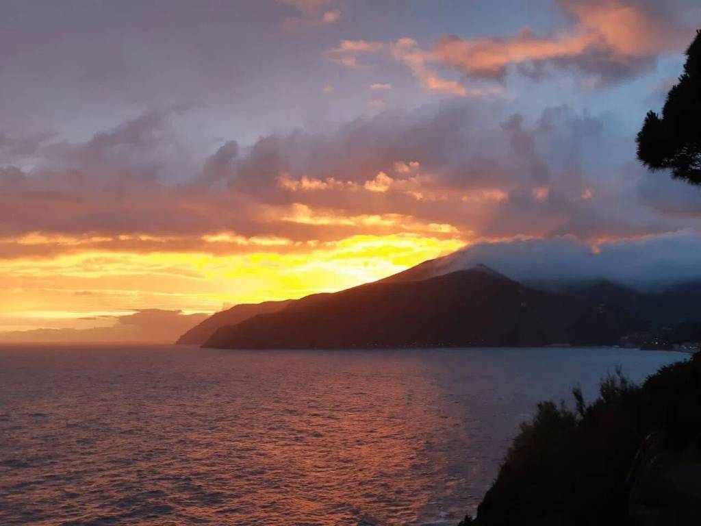 appartamento in vendita a Moneglia