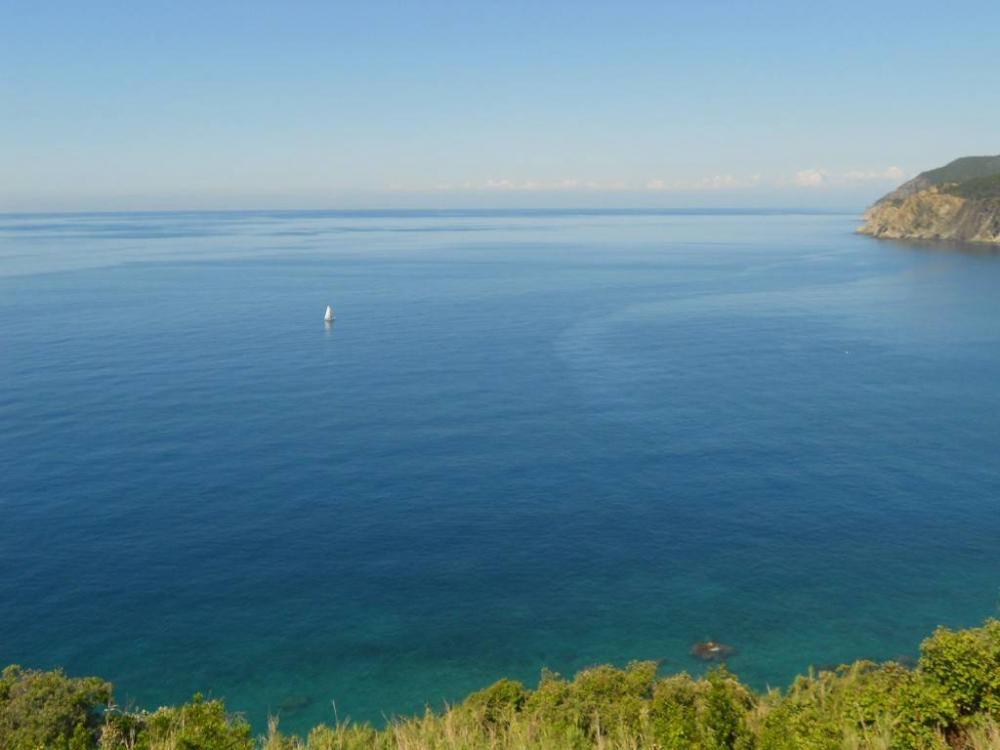appartamento in vendita a Moneglia