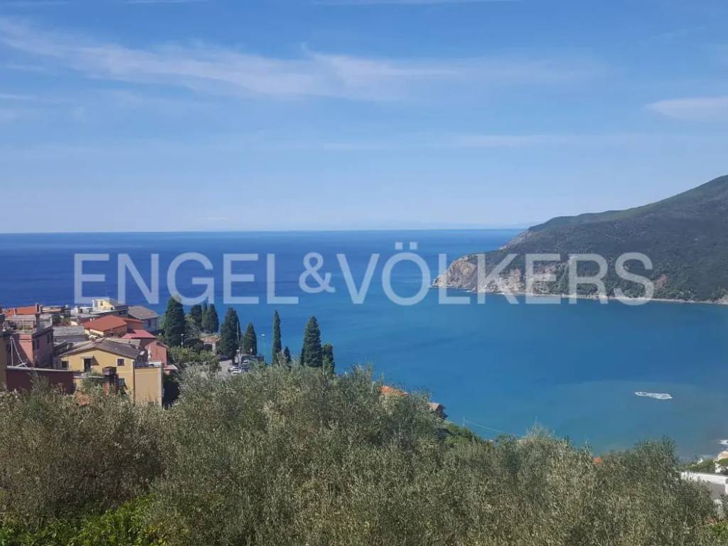 terreno agricolo in vendita a Moneglia in zona Lemeglio