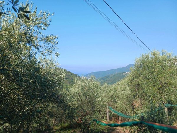 terreno agricolo in vendita a Moneglia in zona Comeglio