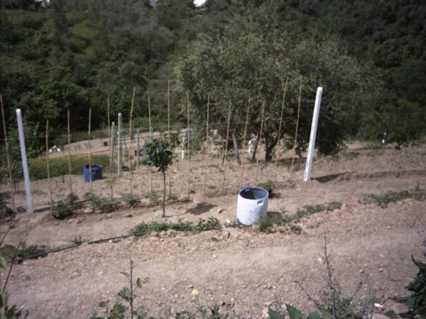 terreno agricolo in vendita a Moneglia