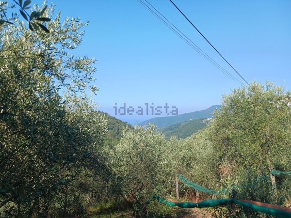 casa indipendente in vendita a Moneglia