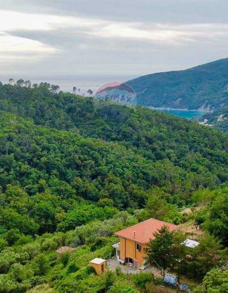 casa indipendente in vendita a Moneglia in zona Littorno