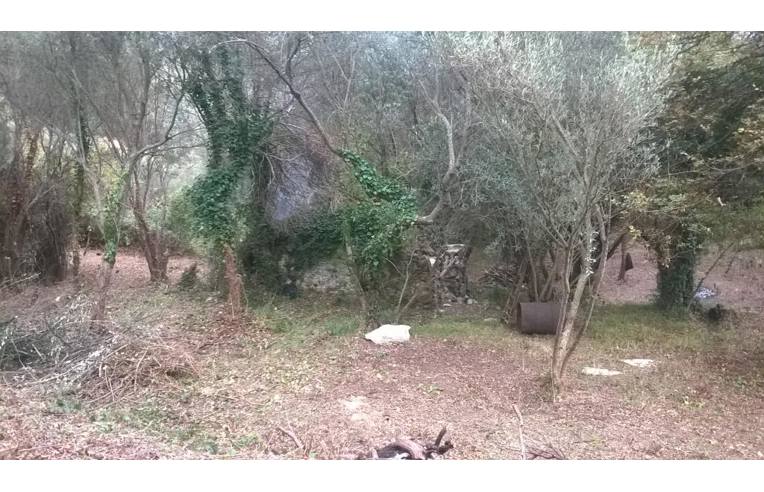 terreno edificabile in vendita a Moneglia in zona Tessi