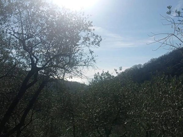 terreno edificabile in vendita a Moneglia in zona San Saturnino