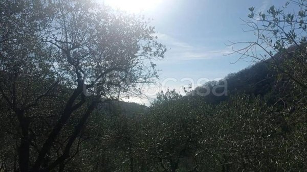 terreno edificabile in vendita a Moneglia in zona San Saturnino