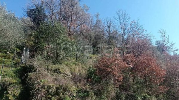 terreno edificabile in vendita a Moneglia in zona San Saturnino