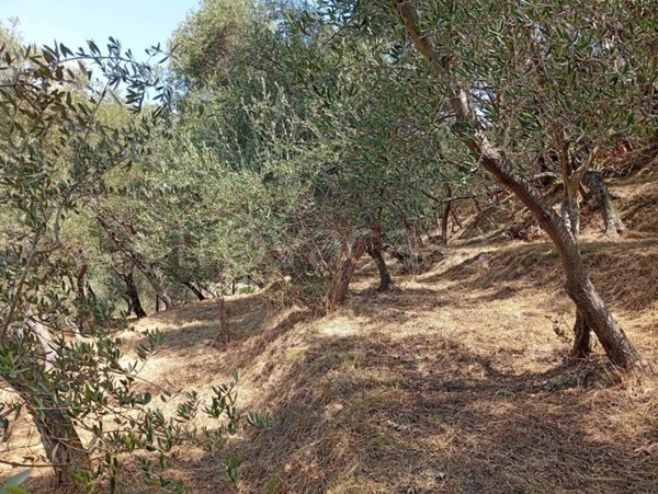 terreno in vendita a Moneglia in zona San Saturnino