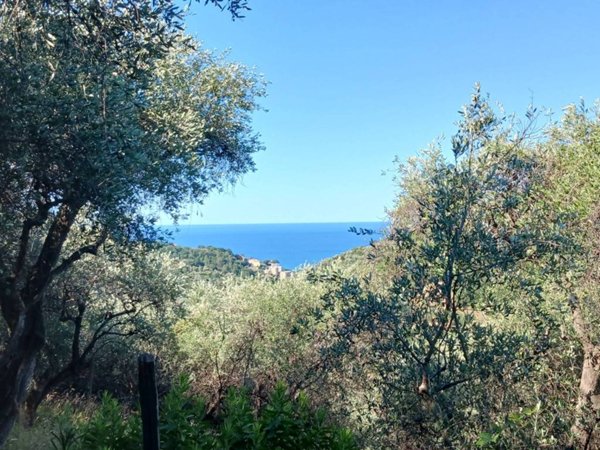 locale di sgombero in vendita a Moneglia in zona San Saturnino
