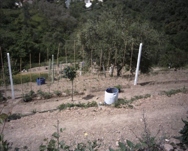 terreno in vendita a Moneglia in zona Comeglio
