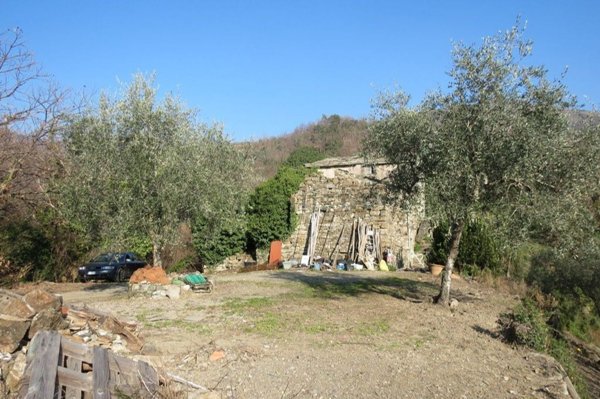 casa indipendente in vendita a Ne