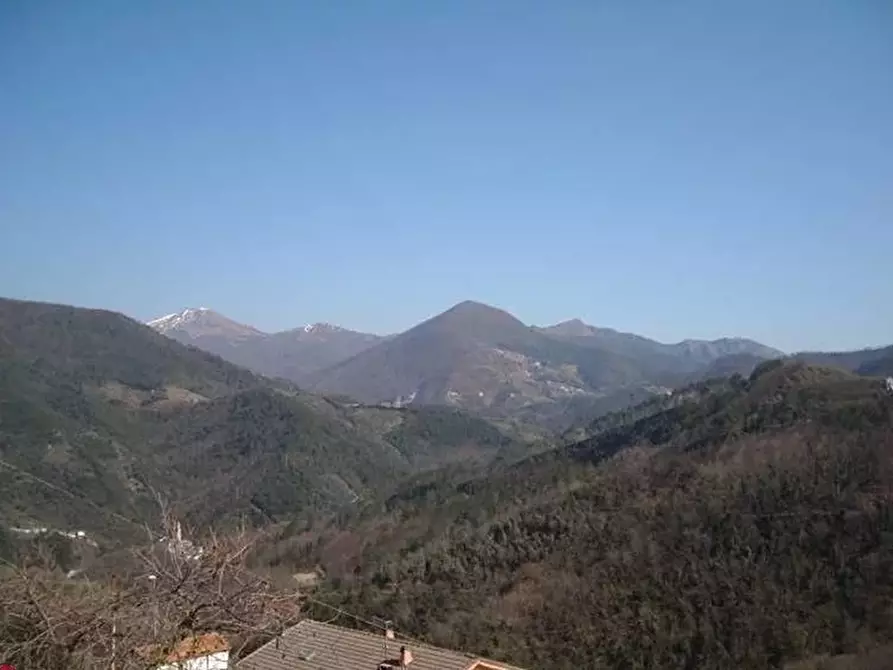 terreno edificabile in vendita a Ne