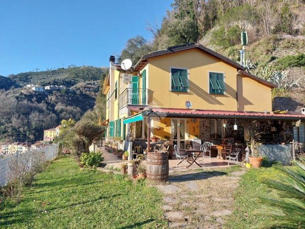 casa indipendente in vendita a Ne