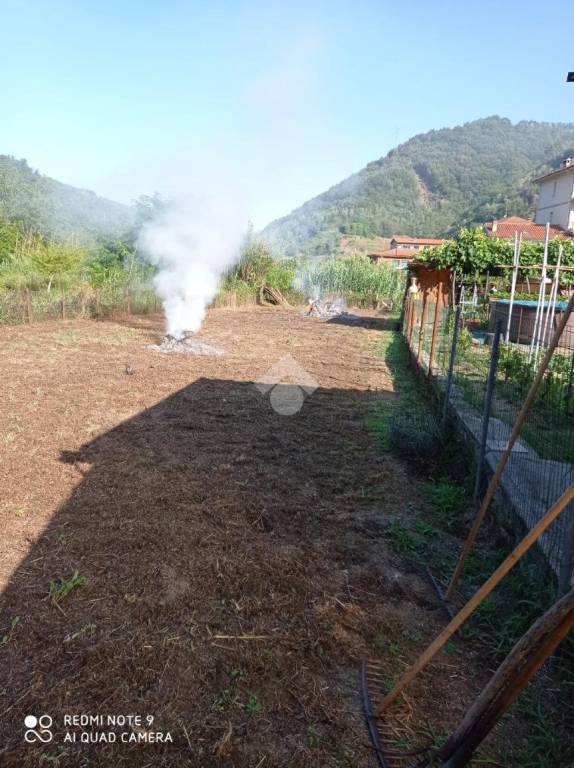 terreno agricolo in vendita a Ne