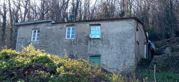rudere in vendita a Ne