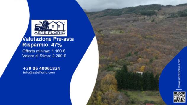 terreno agricolo in vendita a Ne