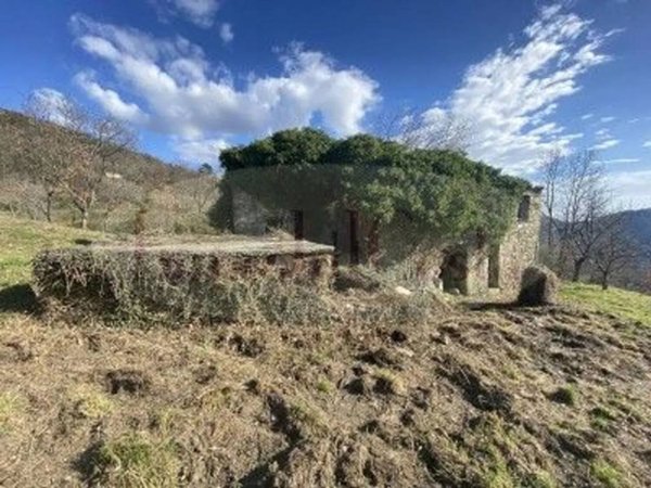 casa indipendente in vendita a Ne