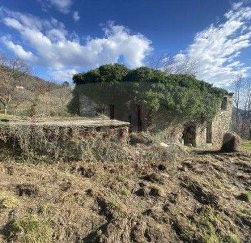 casa indipendente in vendita a Ne