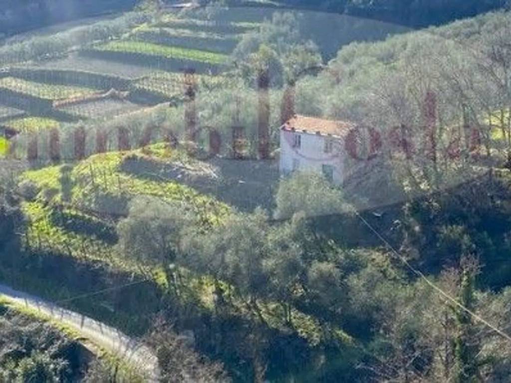 casa indipendente in vendita a Ne