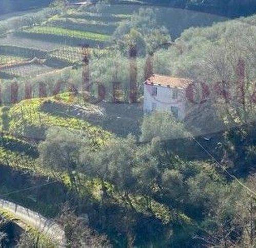 casa indipendente in vendita a Ne