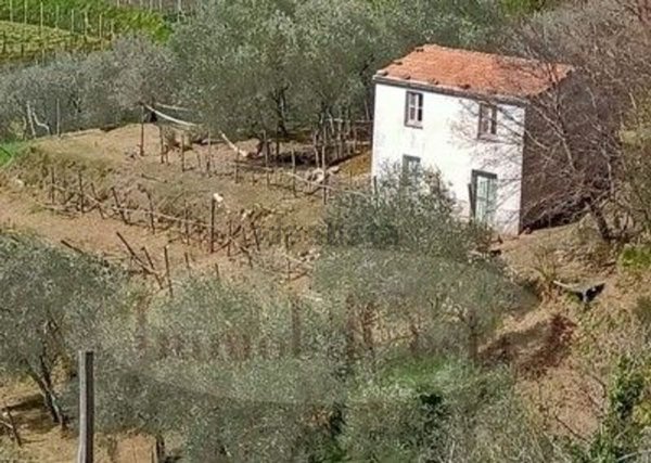 appartamento in vendita a Ne