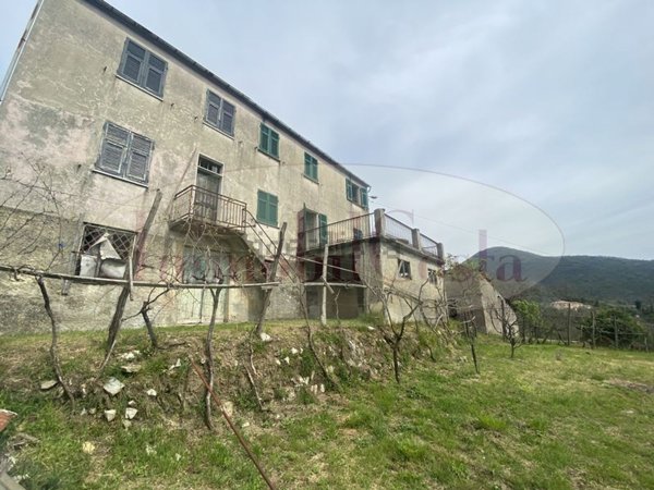 casa indipendente in vendita a Ne