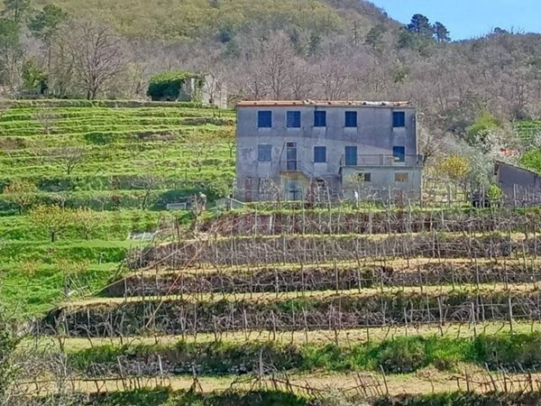 casa indipendente in vendita a Ne