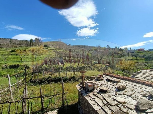 casa indipendente in vendita a Ne