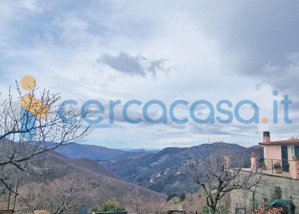 casa indipendente in vendita a Ne