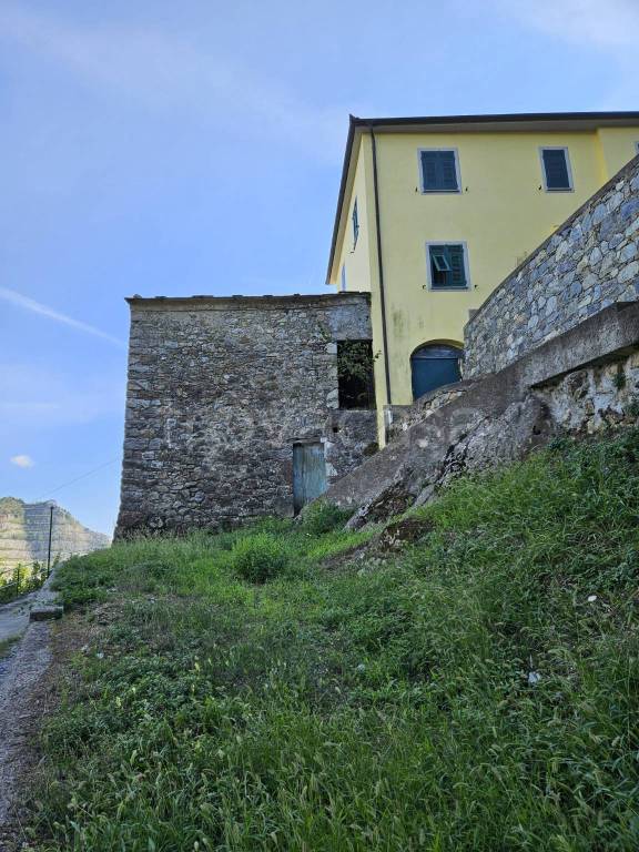 appartamento in vendita a Ne