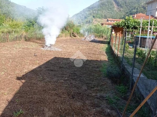 terreno agricolo in vendita a Ne