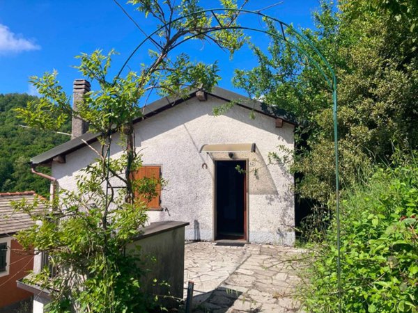 casa indipendente in vendita a Ne