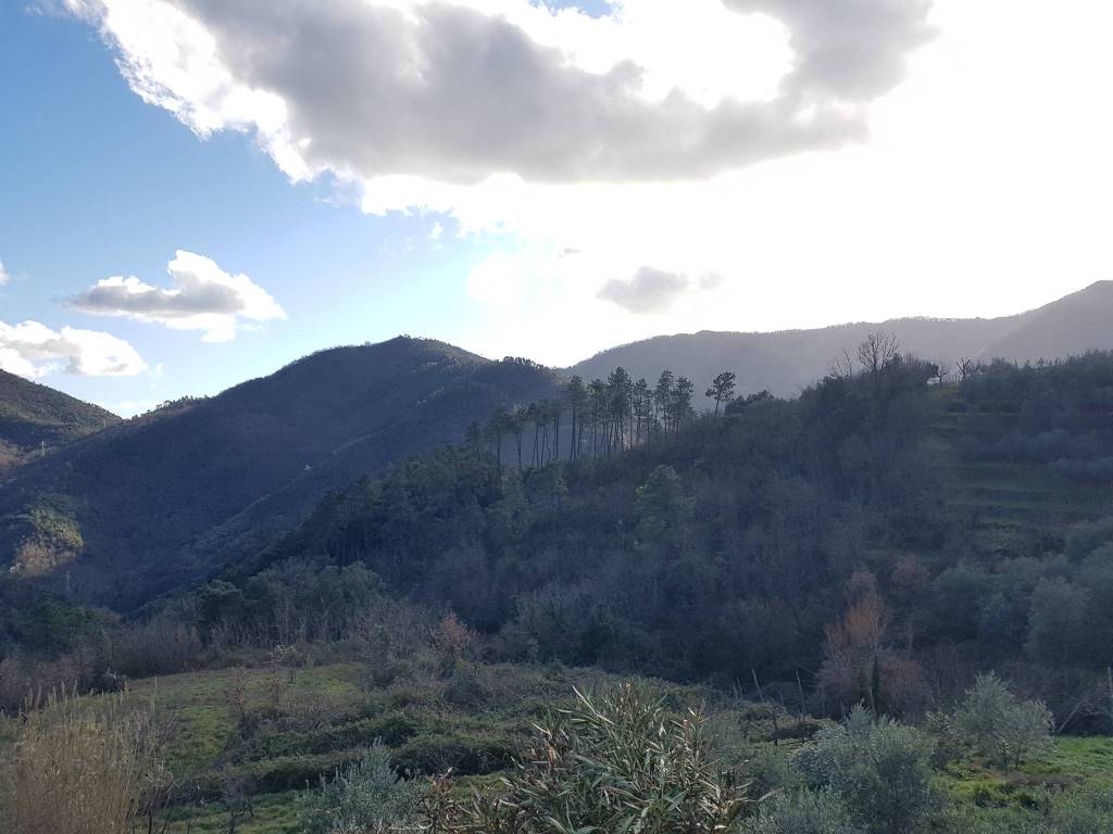 casa indipendente in vendita a Ne