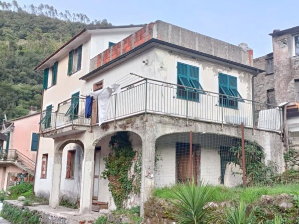 casa indipendente in vendita a Ne
