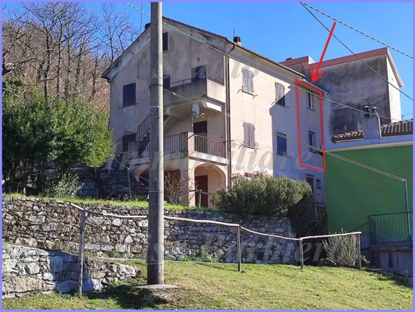 immagine annuncio 0 di 15