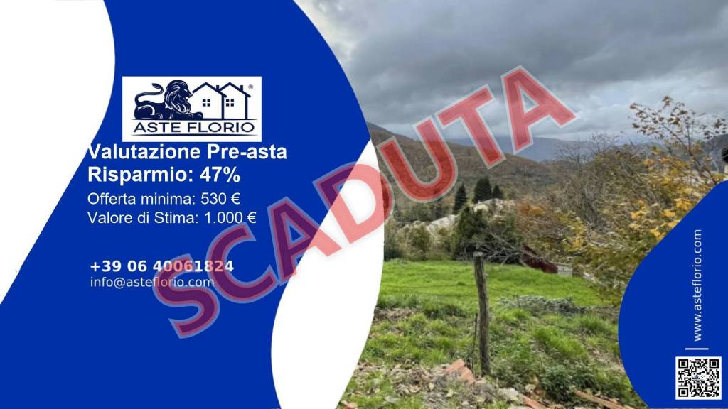 terreno agricolo in vendita a Ne