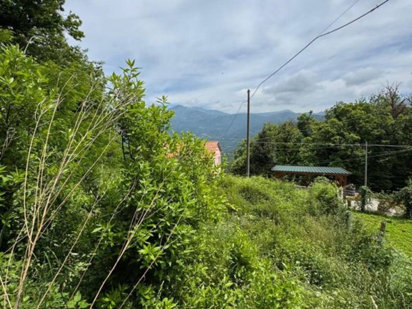 casa indipendente in vendita a Ne
