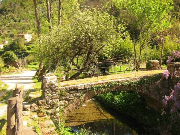 casale in vendita a Ne